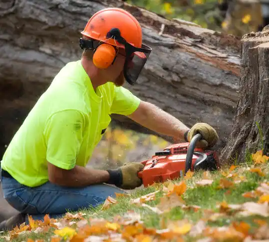 tree services Damascus